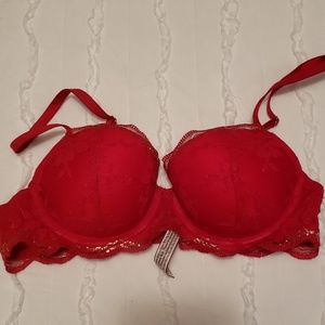 Victoria's Secret Dream Angel's Bra 34B